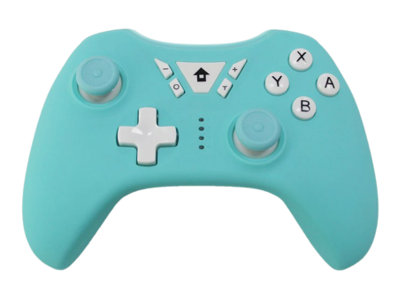 Turquoise Macaroon Controller Supply