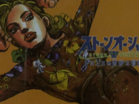 Anime JoJo s Bizarre Adventure: Stone Ocean Double Sided Plastic Card Hot on Sale