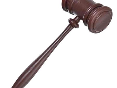 Adult Judge Gavel For Cheap