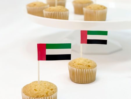 UAE Flag Picks Plastic & Paper 30pcs Sale