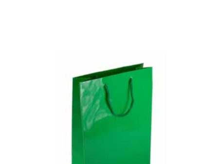 Green Mini Glossy Bag Online Sale