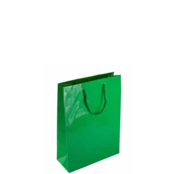 Green Mini Glossy Bag Online Sale