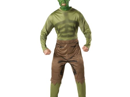 Adult Hulk Costume Supply