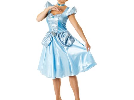 Adult Cinderella Costume Fashion