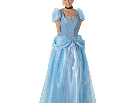 Adult Grand Heritage Cinderella Costume Fashion