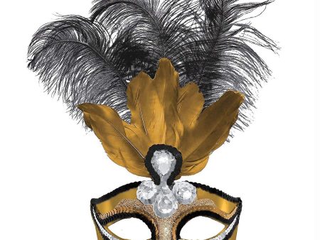 Adult Temptation Feather Mask Fashion